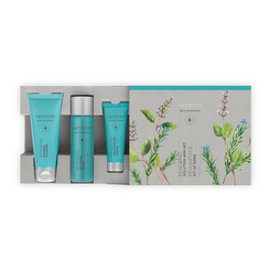 Set Mini ARTISTRY SKIN NUTRITION Renewing Solution