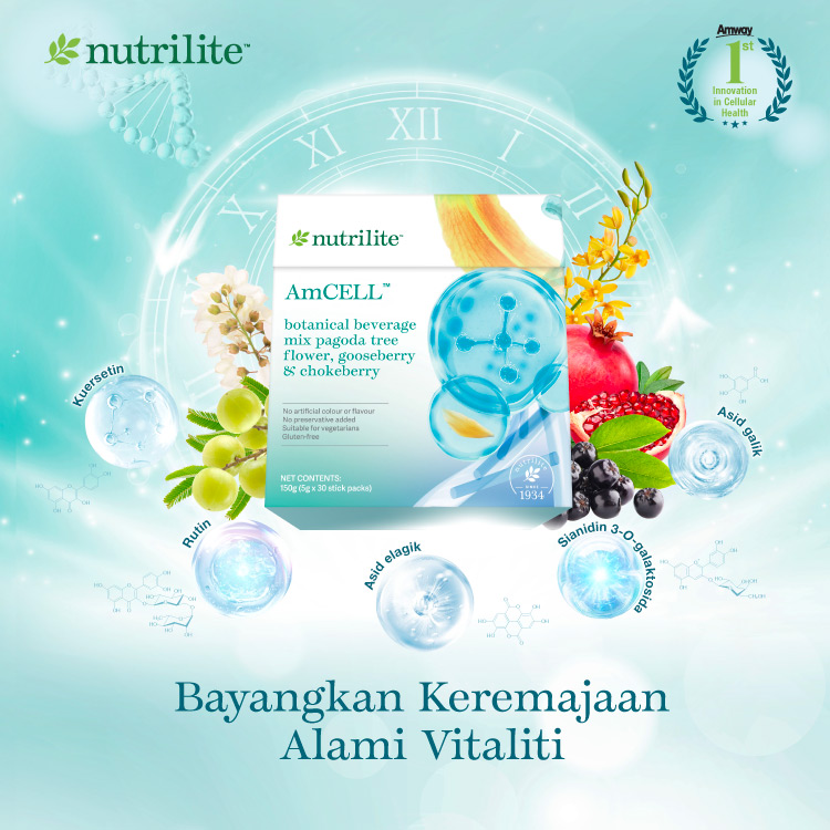 AmCell_HPMobileBanner_202601_BM AmCell_HPMobileBanner_202601_BM