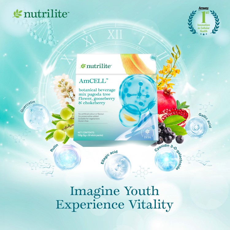 AmCell_HPMobileBanner_202601_EN AmCell_HPMobileBanner_202601_EN