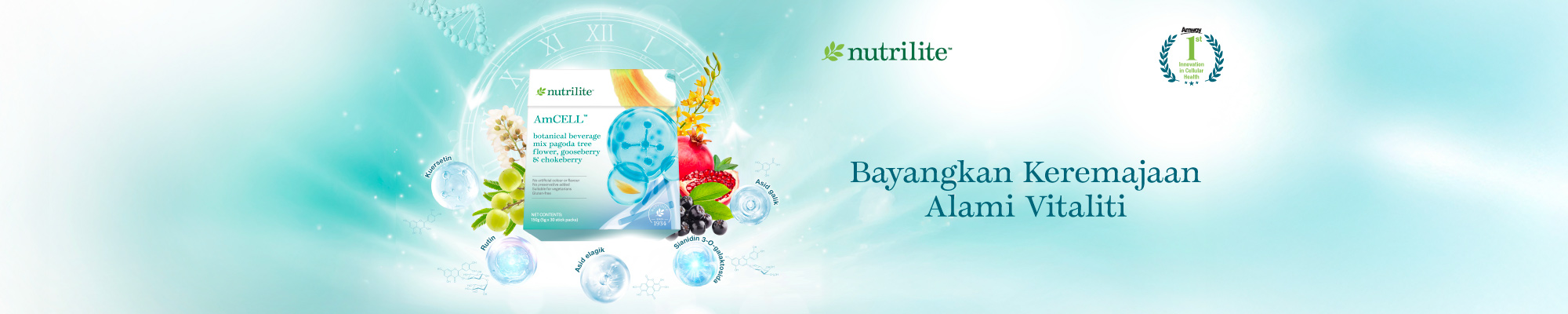 AmCell_HPBanner_202601_BM AmCell_HPBanner_202601_BM