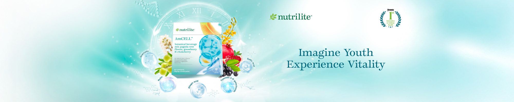 AmCell_HPBanner_202601_EN AmCell_HPBanner_202601_EN